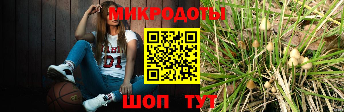 Псилоцибиновые грибы Psilocybe Жигулёвск
