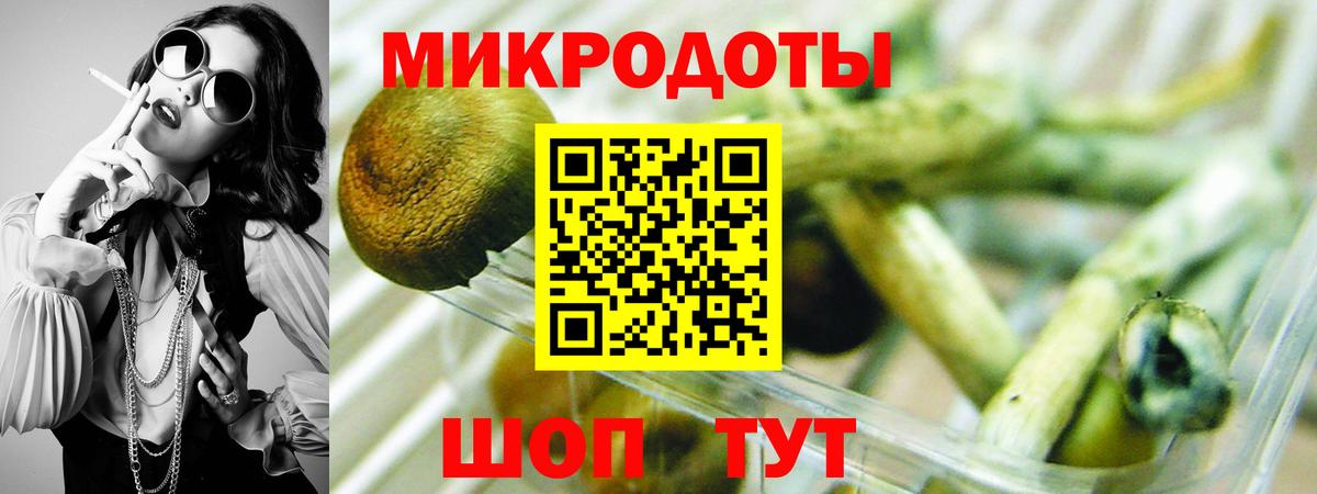 Жигулёвск  Псилоцибиновые грибы прущие грибы  Вход с VPN  Псилоцибиновые грибы GOLDEN TEACHER 